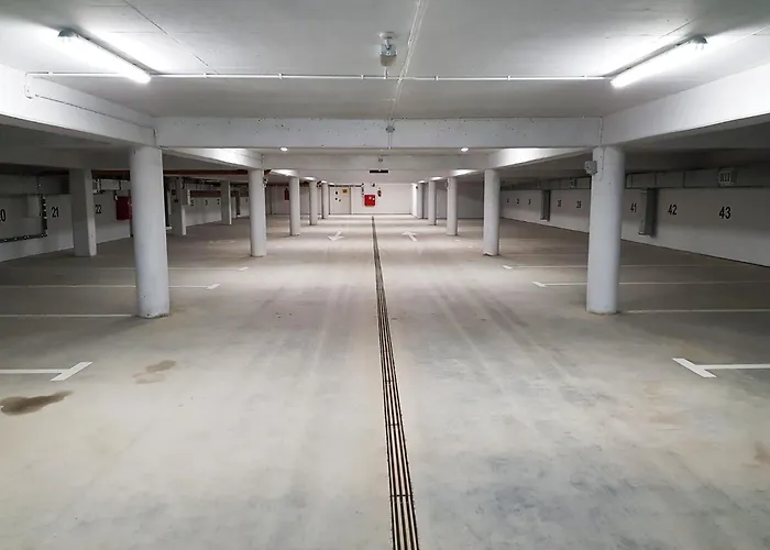 Wyspa Uznam Promenada Baltic Z Widokiem Na Morze